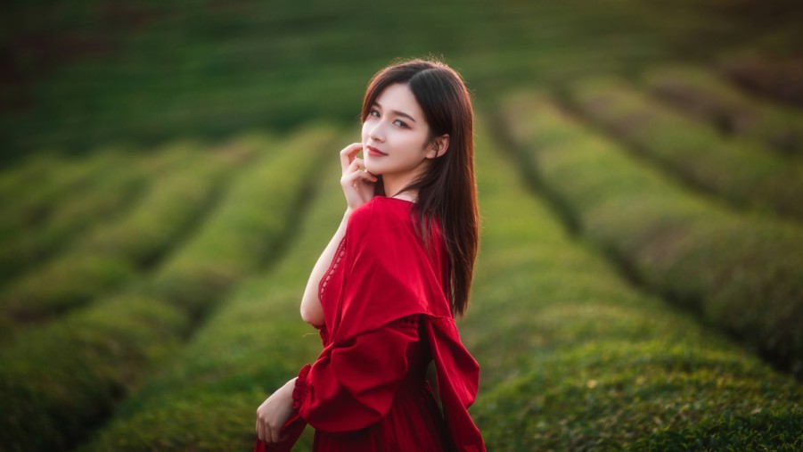 p理解XCSEOSEO排名相关规则提升网站搜索可见性的关键策略p