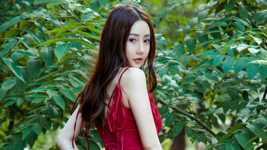 XCSEO梅州seo排名怎么报价